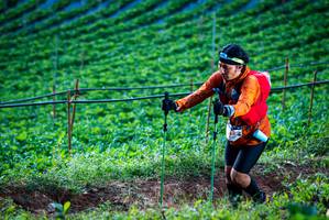 BIB: 
                            <button type="button" onclick="openModal(19159999)" class="btn btn-primary btn-sm float-right btn-popup" data-toggle="modal" data-target=".modal-high-quality">
                        <i class="fas fa-shopping-cart"></i> Add to Cart
                    </button>
                                            <button type="button" onclick="isThisMe(19159999, true)" class="btn btn-success btn-sm float-right btn-popup btn-isme hidden" data-toggle="tooltip" data-placement="bottom" title="นี่คือรูปของคุณใช่ไหม คลิกที่นี่เพื่อเอาเข้าอัลบั้ม">
                        <i class="fas fa-plus"></i> Add to album
                    </button>
                    <button type="button" onclick="isThisMe(19159999, false)" class="btn btn-warning btn-sm float-right btn-popup btn-isnotme hidden">
                        <i class="fas fa-ban"></i> Remove from album
                    </button>